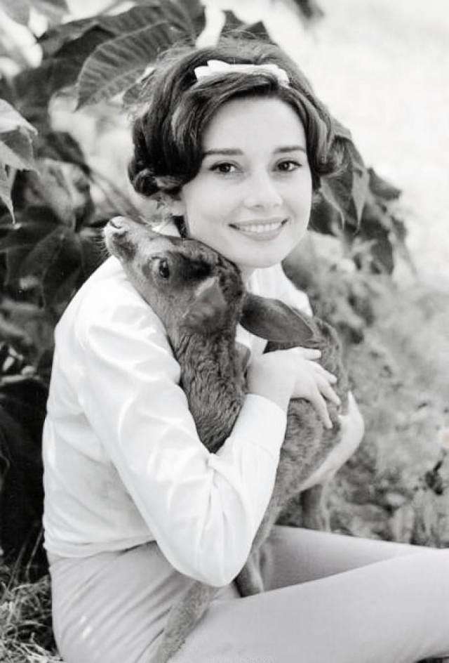 The nine most popular photos of Audrey Hepburn carry her legendary and beautiful life. Photo 9