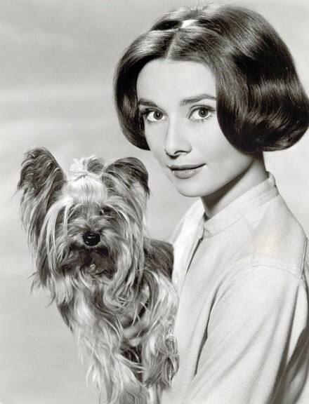 The nine most popular photos of Audrey Hepburn carry her legendary and beautiful life. Photo 11