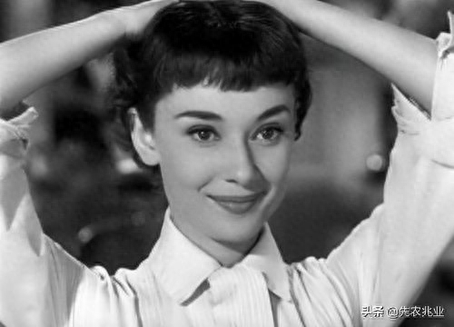 Audrey Hepburn (the greatest actress of the century), 20 most classic photos Photo 3
