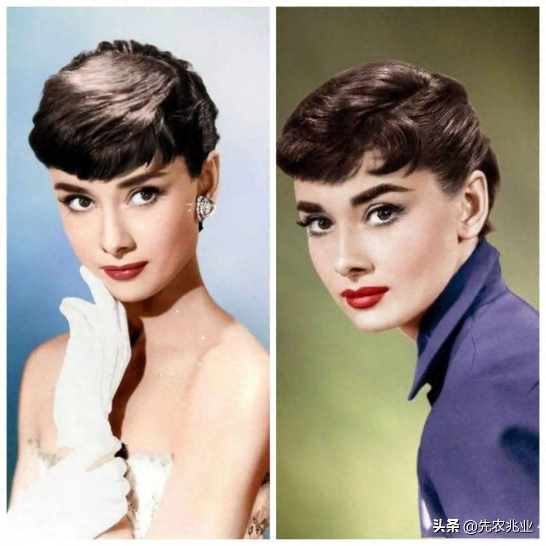 Audrey Hepburn (the greatest actress of the century), 20 most classic photos Photo 9