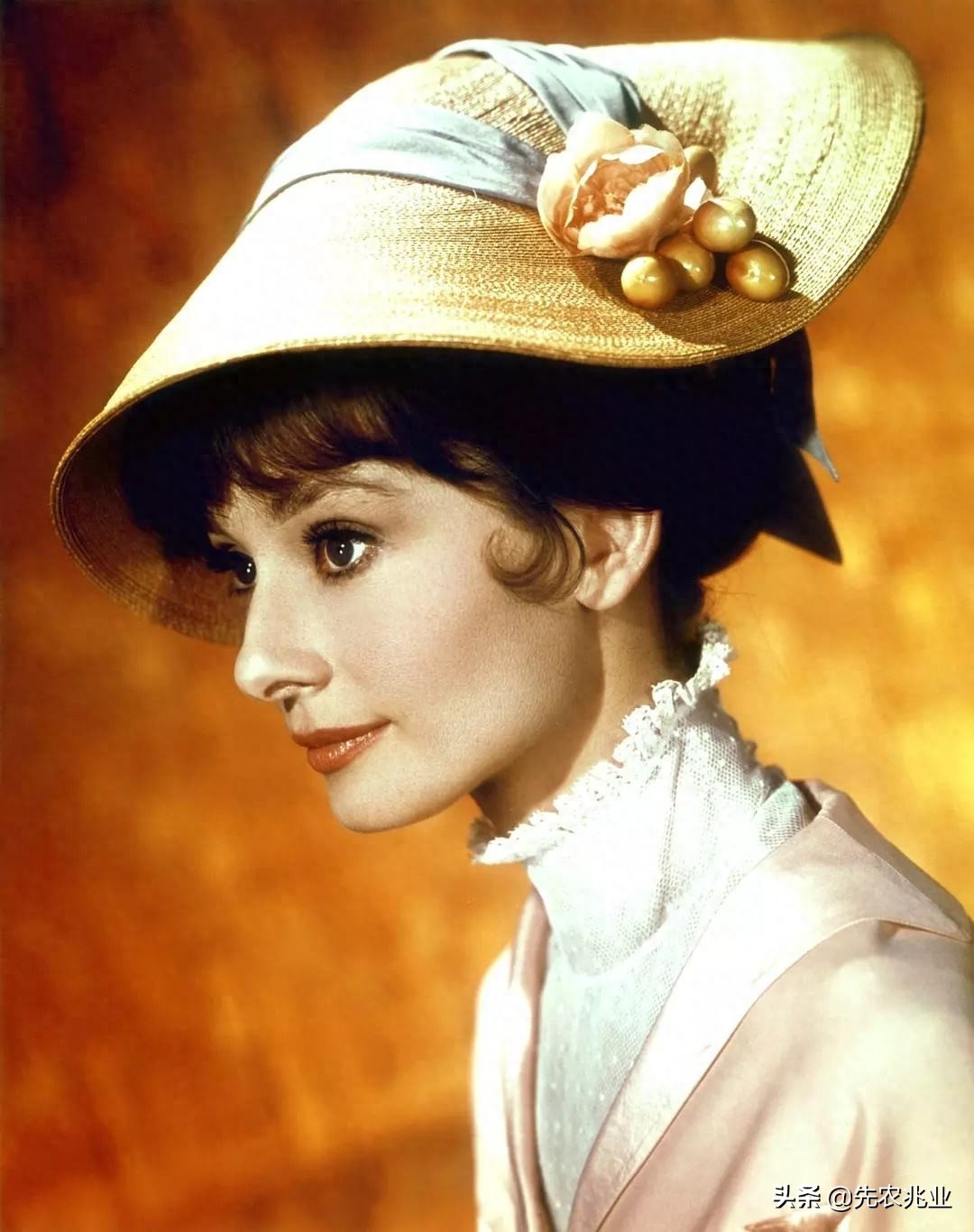 Audrey Hepburn (the greatest actress of the century), 20 most classic photos Photo 25