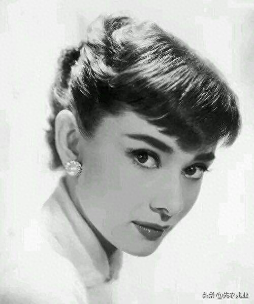 Audrey Hepburn (the greatest actress of the century), 20 most classic photos Photo 35